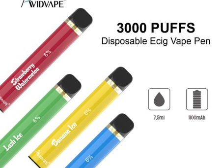What Is The Meaning Of The Disposable Electronic Cigarette Vape?