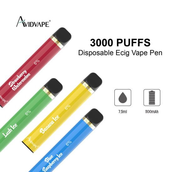 What Is The Meaning Of The Disposable Electronic Cigarette Vape?