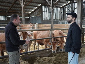La viande de Guillaume Gatard