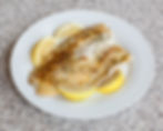 Barramundi
