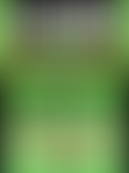 INICIO TEMPORADA 2025/2026