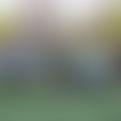 ● 11 MAI 2019 ● Tournoi de pré-saison DD2