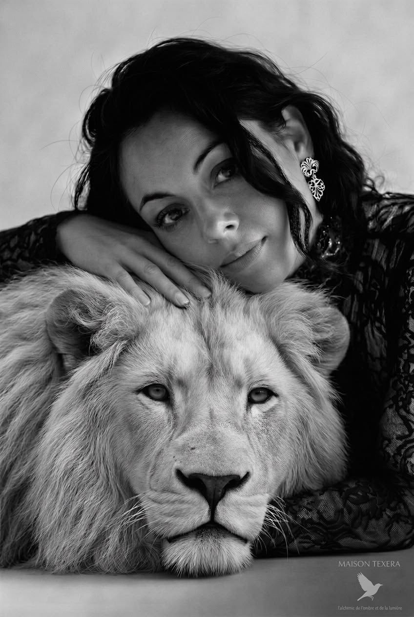 Le lion : l’animal qui ose briller