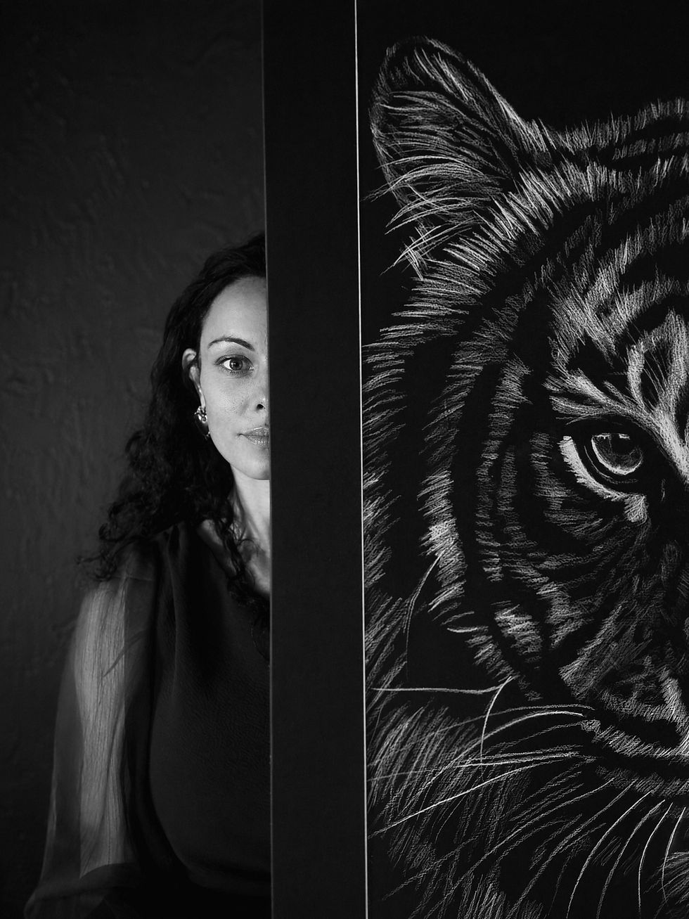L'histoire derrière le trait blanc