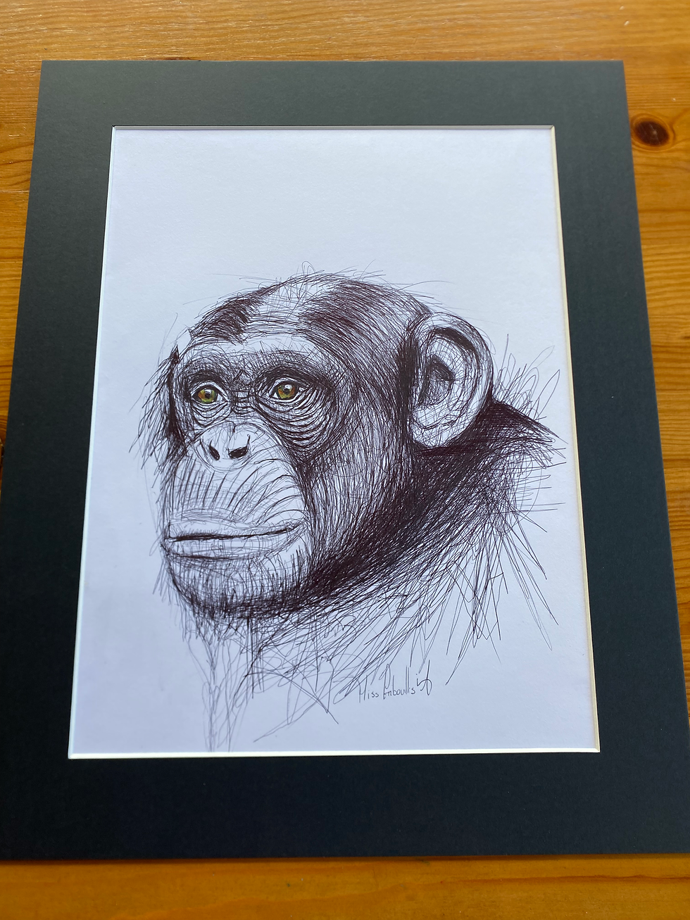Miniature : Le Singe Gribouillis 