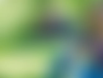 NATUURHEALING WORKSHOP