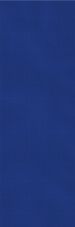 fundo-01.png