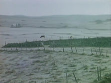10AUBRAC2.jpg