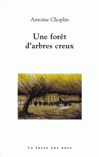Une forêt d'arbres creux, Antoine Choplin