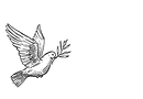 bird123.png