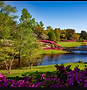 IMG_20250516_135333.png