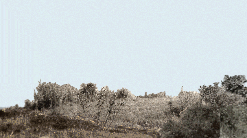 07.gif