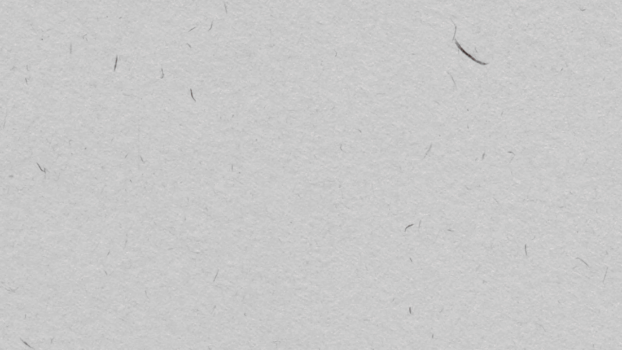 Gif-Intro.gif