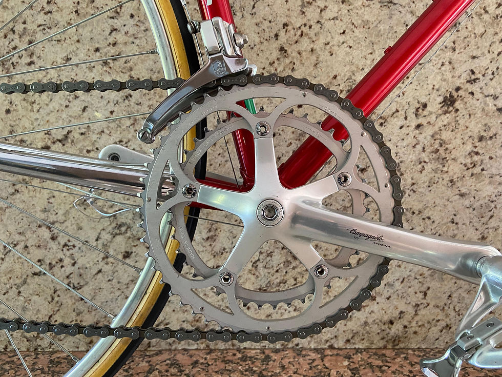 Lazzaretti 13