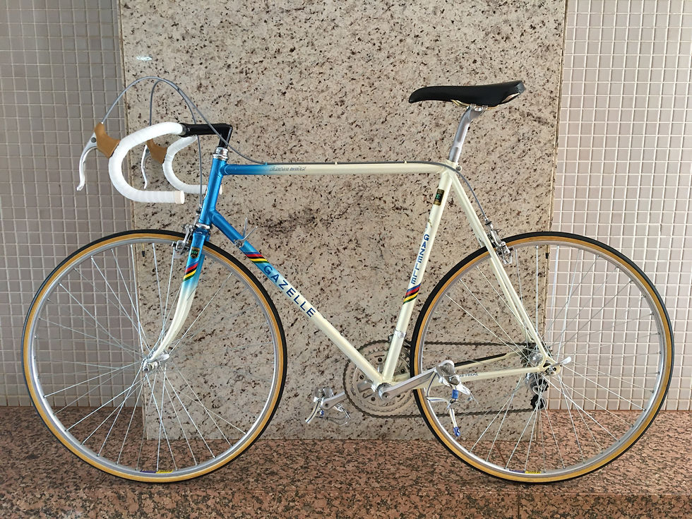 gazelle-champion-mondial-1985-02