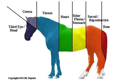 chakras.JPG