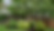 shrub edit.png