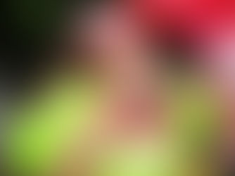 Daniela Mercury confirma
Pipoca da Rainha para quinta-feira (27/02)