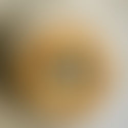 Double Blueberry Pie