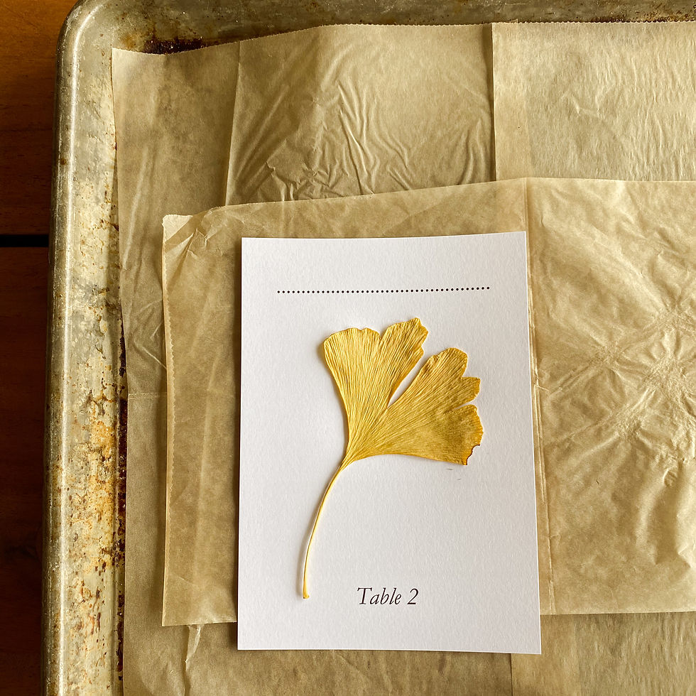 Dried Gingko Leaf