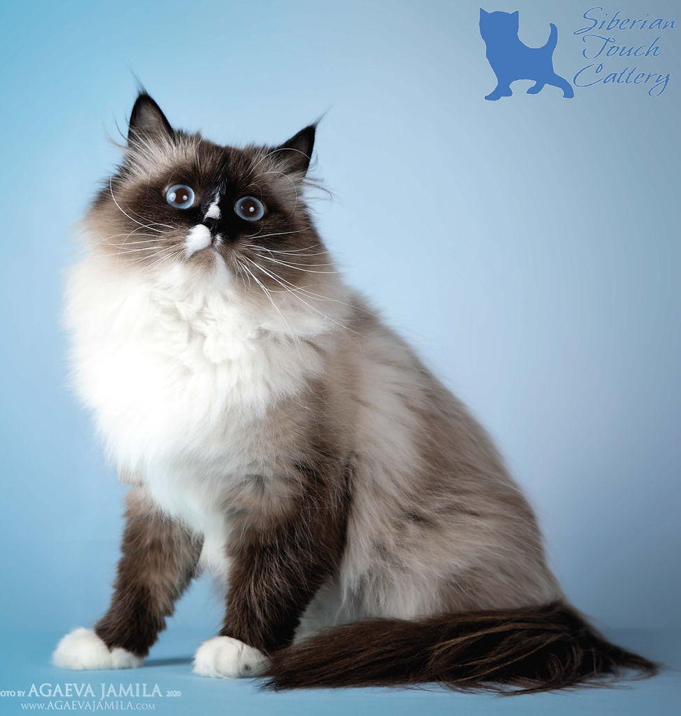 Copy of DSC_1064.JPG