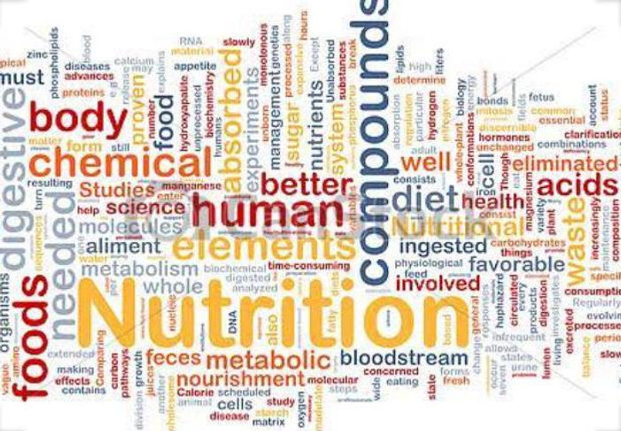 nutricao.jpeg