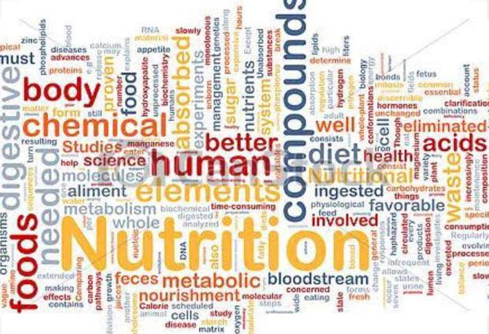 nutricao.jpeg