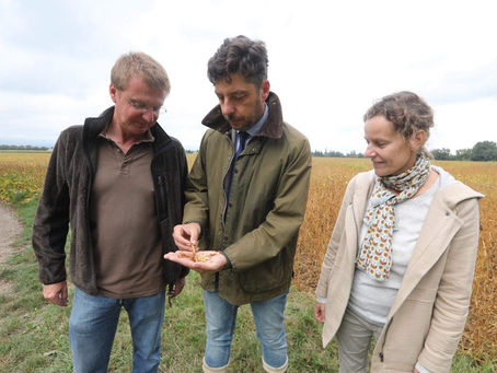 Immersion au sein de l’exploitation de Benjamin et Marie Lammert, producteur de soja à Ensisheim