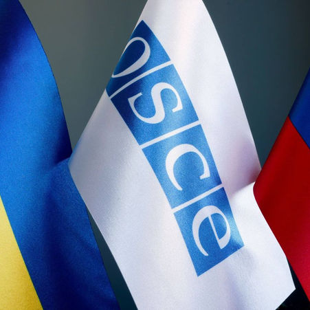 Commission des affaires européennes : Assemblée Parlementaire de l'OSCE à Vienne