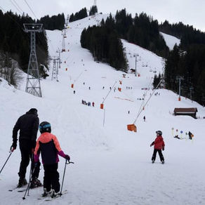 Demande d'audition au Président de la République sur la situation économique des stations de ski