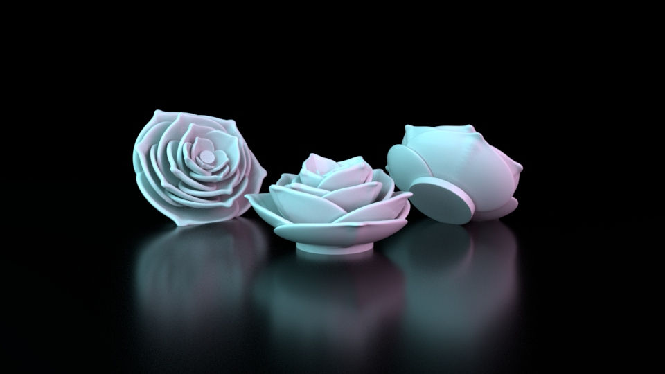 succulent
