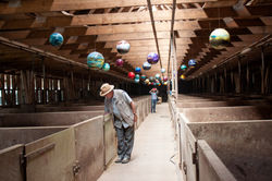 Vernissage Wandelerhof