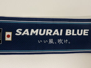 王国に挑んだSAMURAI