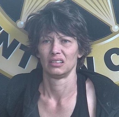 Pineville Woman Jailed After Blocking Roadway And A Standoff With Police