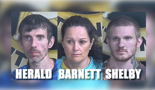 Middlesboro Police arrest 3 in record drug bust for the city