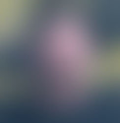 Middlesboro man behind bars for domestic dispute after locking himself in a home