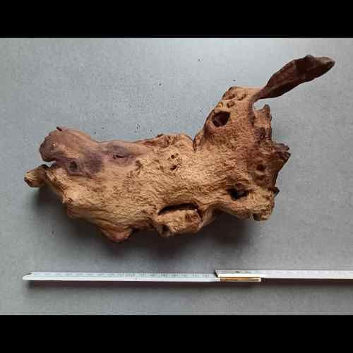 Thumbnail: MOPANI hout aquarium - stuknummer S 018