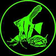 Aqua arthropoda website