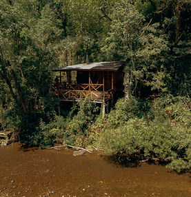 _EXP_MARGAY_LODGE-78 (1)_edited.jpg