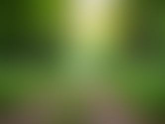 Transforming Life with Holistic Health