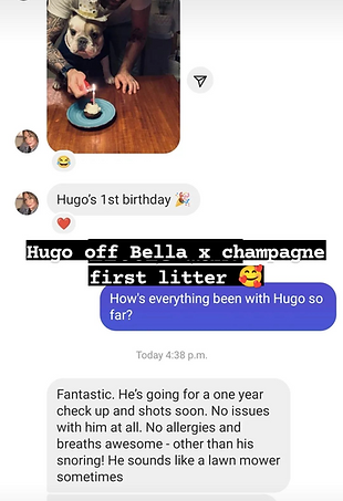 Hugo review off Bella x Champagne