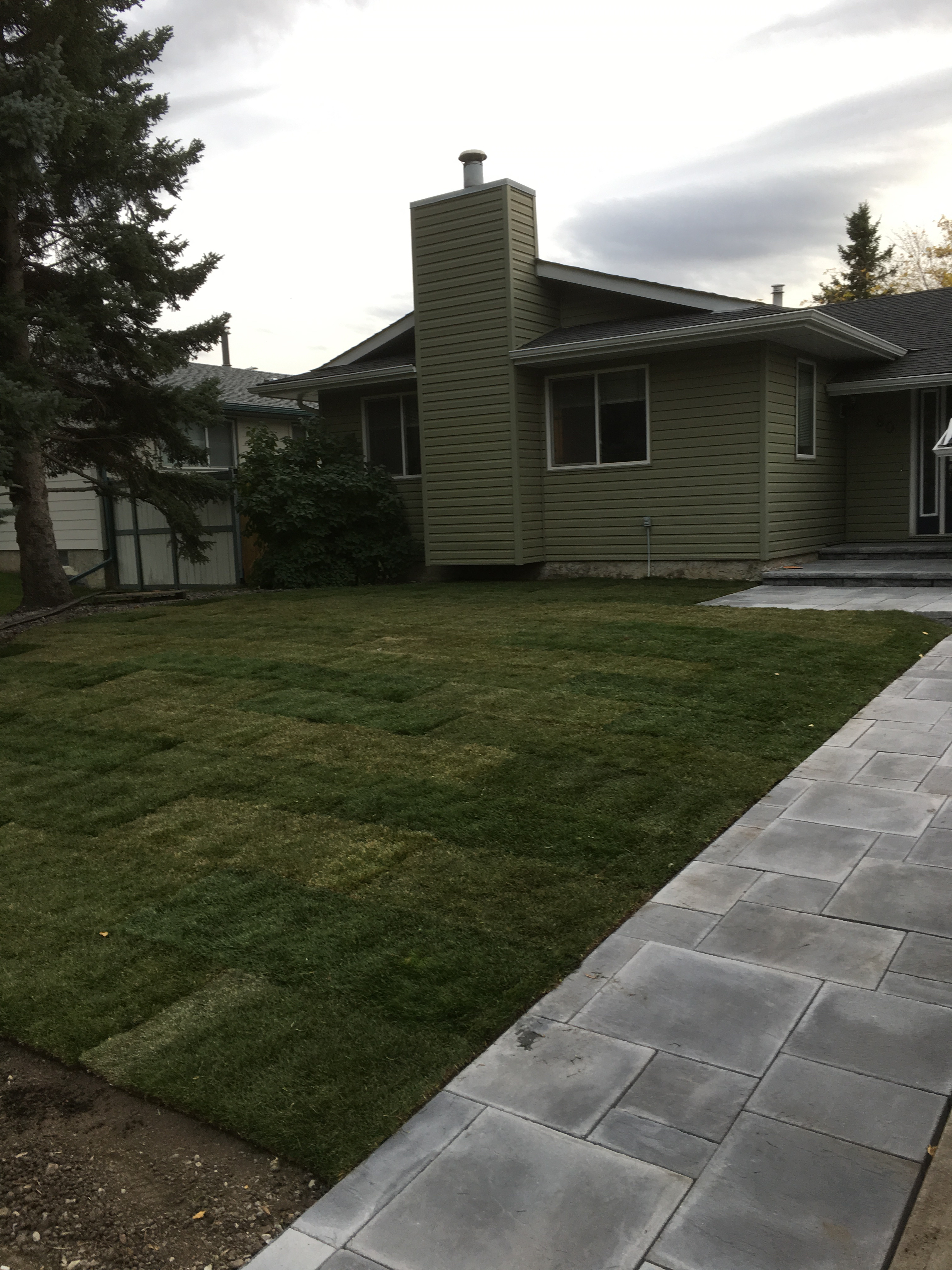 Lawn and paved pathway