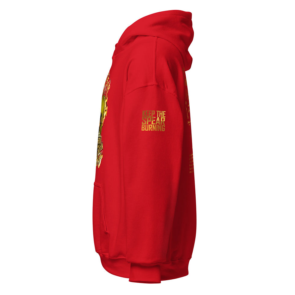Thumbnail: Fyrishov Hoodie