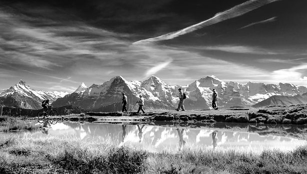 AdobeStock_127719943_edited_edited.jpg