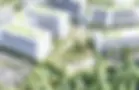 lakeLoon-6.webp