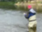 ree