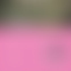 Meld je aan voor de Kennissalon 'Zorgvastgoed als stuwende kracht in gebiedsontwikkeling' 