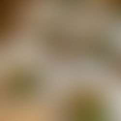 Good Tasting and Good For you!