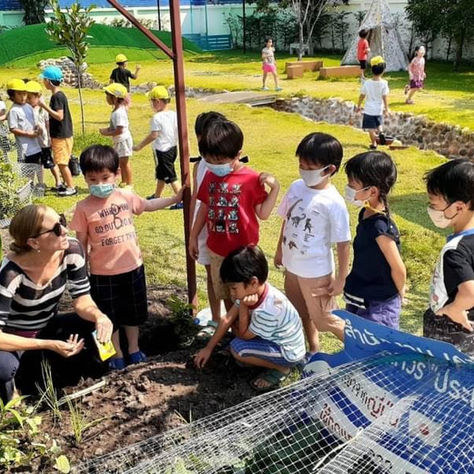 The Glory of Gardening