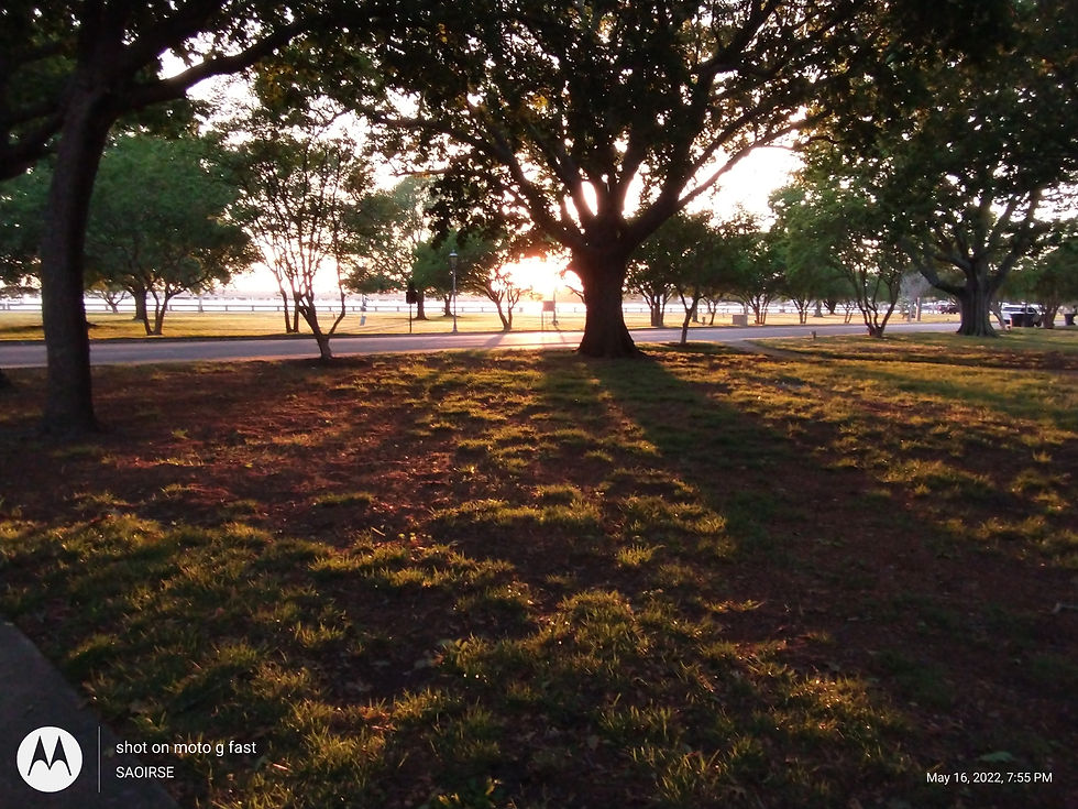 IMG_20220516_195507698 (1) (2).jpg